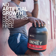 Load image into Gallery viewer, Optimum Nutrition Gold Standard 10