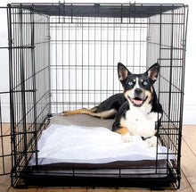 Load image into Gallery viewer, Hartz Home Protection Unscented Odor Eliminating Gel Dog Pads, 21&quot; x 21&quot;, 100 Count