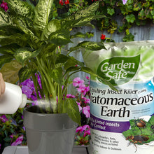 Load image into Gallery viewer, Garden Safe Brand Crawling Insect Killer Containing Diatomaceous Earth, 4-Pound