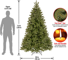 Load image into Gallery viewer, National Tree Company Tree