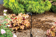 Load image into Gallery viewer, Rain Bird RS4PKSX Drip Irrigation 10-32 Threaded "C" Frame Rotary Sprinkler, 360° Full Circle Pattern, 0 - 13' Spray Distance, 4-Pack