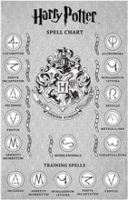 Load image into Gallery viewer, HARRY POTTER, Wizard Training Wand - 11 Spells to CAST!