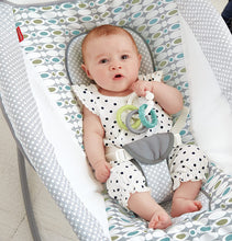 Load image into Gallery viewer, Fisher-Price Auto Rock &#39;n Play Sleeper