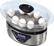 Load image into Gallery viewer, Hamilton Beach 37530C Digital Steamer, 5.5 quart, Multicolor