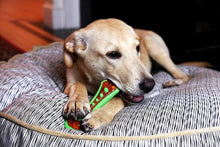 Load image into Gallery viewer, Hartz Chew &#39;n Clean Bacon Flavored Dog Chew Toy
