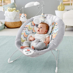 Fisher-Price Deluxe Bounce