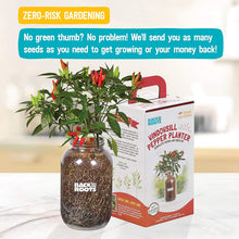 Load image into Gallery viewer, Back to the Roots Non-GMO Chilli Planter 25206 Organic Chilli Peppers Year-Round Indoor Herb Garden Grow Kit Includes Vegetable Seeds Variety Pack for Planting