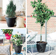 Load image into Gallery viewer, Bloem Lucca Planter, 14-Inch, Black