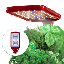 Load image into Gallery viewer, AeroGarden Sprout LED with Gourmet Herb Seed Pod Kit, Red