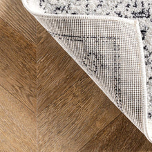 Load image into Gallery viewer, nuLOOM Minta Vintage Area Rug