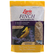 Load image into Gallery viewer, Lyric Finch Small Songbird