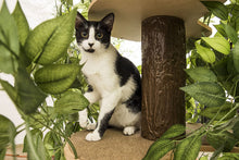 Load image into Gallery viewer, On2Pets Cat Condo Furniture, Tree House Tower for Climbing, Playing, Scratching, and Relaxing