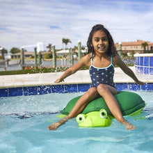 Load image into Gallery viewer, Big Joe Pool Float, 42&quot;L x 33&quot;W x 7&quot;H, Turtle