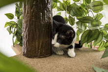 Load image into Gallery viewer, On2Pets Cat Condo Furniture, Tree House Tower for Climbing, Playing, Scratching, and Relaxing