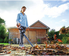 Load image into Gallery viewer, BLACK+DECKER BCASCS60B YARDMASTER 20V MAX