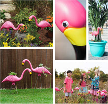 Load image into Gallery viewer, Bloem Flamingo