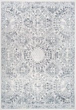 Load image into Gallery viewer, nuLOOM Minta Vintage Area Rug