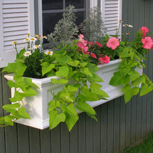 Load image into Gallery viewer, Mayne Fairfield 5822C Window Box Planter, 3-Foot