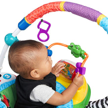Load image into Gallery viewer, Baby Einstein