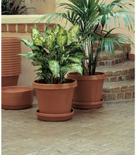 Load image into Gallery viewer, Bloem Terra Plastic Round Pot Planter