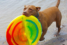 Load image into Gallery viewer, Emsco Group ESP Dune Moons Deluxe Aerodynamic Flying Discs - MEGA Mother Hover Super Sized 18&quot; Diamter Large Flying Disc Frisbee