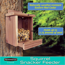 Load image into Gallery viewer, Pennington 100509197 Cedar Squirrel Snacker Feeder, 2.75 LB Capacity