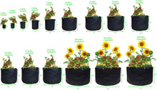 Load image into Gallery viewer, Viagrow Fabric Pots with Handles