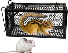 Load image into Gallery viewer, Harris Catch and Release Humane Cage Trap for Rats, Chipmunks, and Small Squirrels (2-Pack)