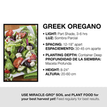Load image into Gallery viewer, Bonnie Plants 5080 Greek Oregano Herb Plant