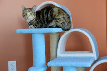 Load image into Gallery viewer, Armarkat Classic Cat Tree Model B3803 Sky Blue