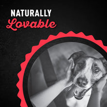 Load image into Gallery viewer, Honest To Dog Tasty Tenders Beef &amp; Chicken Recipe Dog Treats - 30 oz. Pouch