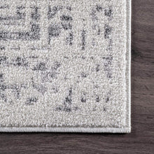 Load image into Gallery viewer, nuLOOM Arlena Vintage Area Rug