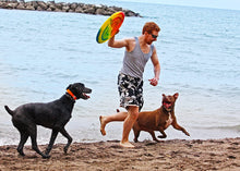 Load image into Gallery viewer, Emsco Group ESP Dune Moons Deluxe Aerodynamic Flying Discs - MEGA Mother Hover Super Sized 18&quot; Diamter Large Flying Disc Frisbee