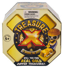 Load image into Gallery viewer, Treasure X