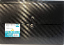 Load image into Gallery viewer, Expanding File