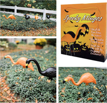 Load image into Gallery viewer, Bloem DOTCOMG8-10BK Spooky Halloween Flamingo 25&quot; Party Yard Stakes (10-Pack), 10 Pack, Orange Black