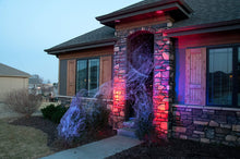 Load image into Gallery viewer, The Shadows Edge Webcaster Gun Halloween Spiderwebbing Cobweb