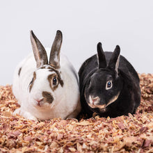 Load image into Gallery viewer, PETSPICK Red Cedar Pet Bedding for Dogs and Horses