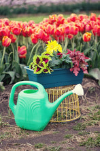 Load image into Gallery viewer, Bloem Classic JW Watering Can, 2 Gallon, Deep Sea (JW82-31)