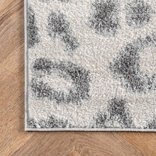 Load image into Gallery viewer, nuLOOM Print Leopard Rug