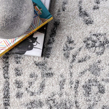 Load image into Gallery viewer, nuLOOM Arlena Vintage Area Rug