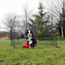 Load image into Gallery viewer, Lucky Dog Modular Pet Play Pen