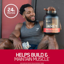 Load image into Gallery viewer, Optimum Nutrition Gold Standard 10