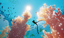 Load image into Gallery viewer, ABZÛ0