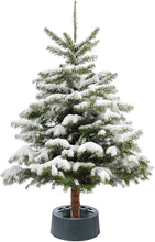 Load image into Gallery viewer, Gardenised Green Plastic Christmas Tree Stand with Screw Fastener