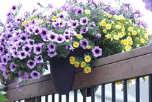 Load image into Gallery viewer, Bloem Modica Deck Rail Planter