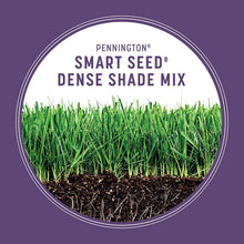 Load image into Gallery viewer, Pennington Smart Tall Fescue Grass
