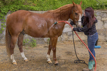 Load image into Gallery viewer, Element ELCF34050 Lead-Free, Drinking Water Safe Contractor Farm Hose 50 ft, 3/4&quot; Diameter, Red