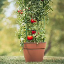 Load image into Gallery viewer, YARDGARD Gardener's Blue Ribbon 3-Pack Ultomato Tomato Plant Cage
