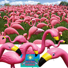 Load image into Gallery viewer, Bloem Flamingo